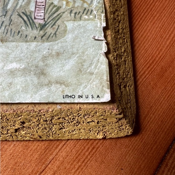 Vintage Cottagecore Mushroom Botany Litho Art Print 1971 USA made - Picture 3 of 12